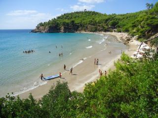 Alonissos Beach Bungalows And Suites Hotel - Centro histórico de Alónnisos - 9
