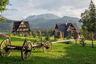 Sykowny Dworek Apartamenty - Kościelisko - 7
