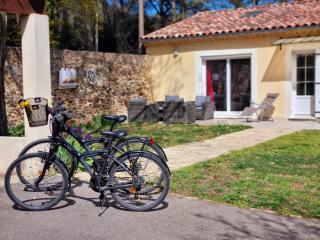 Sauna et Spa, Gîte le Carrousel - Piolenc - 0