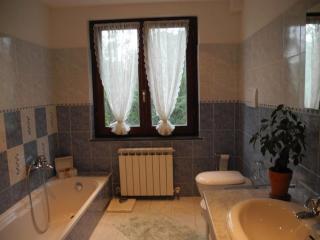 Villa with Pool near 5Terre Firefly - 3