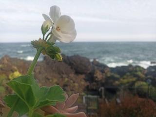Casa sul mare in Sicilia, Acireale-Stazzo - Acireale - 5