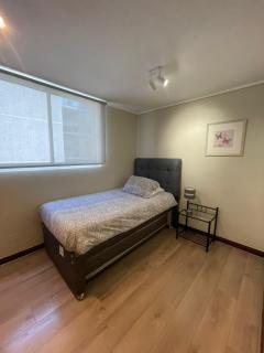 28 Perfecto ideal buena estadía hasta 5 personas - Santiago - 9