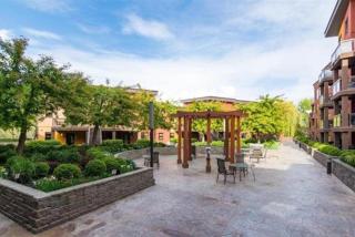 Playa del Sol Retreat Sleeps 6 with Pool and Hot Tub - 9