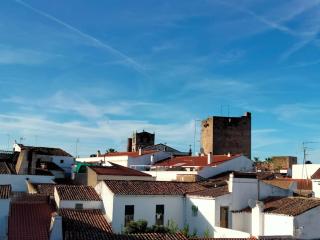 Apartamento Rosa de Alejandría - Olivenza - 7