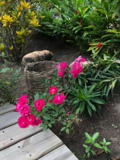 Pousada Vila Dendê - 3