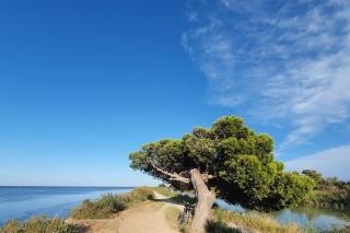 T2 cosy à la plage, terrasse vue sur mer et parking privatif - Narbonne - 7