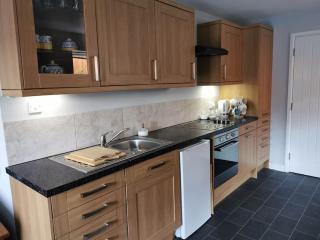 Owen's Garden Hideaway - Conwy - 1