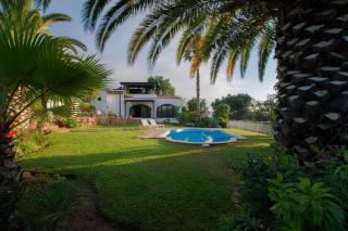 Suite Swimming Pool Quinta da Eira 140 years old - Loulé - 5