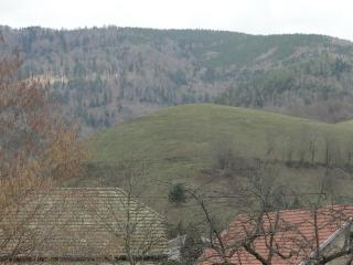 LA MAISON EN PAIN D'EPICES - Sainte-Marie-aux-Mines - 3