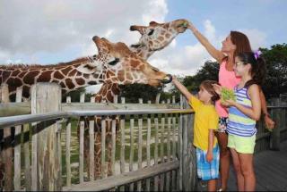 Amazing & cozy Duplex near Zoo Miami ! - Miami - 8