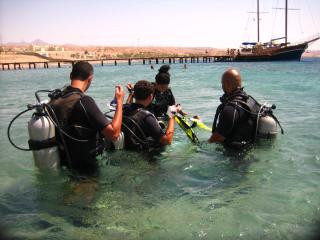 Arab Divers Dive Center and Bed & Breakfast - 1