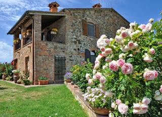 Agriturismo La Creta - Montepulciano - 0