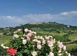 Agriturismo La Creta - Montepulciano - 8