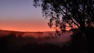 The Stables - Farm Stay - Strath Creek - 2