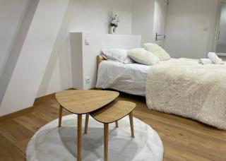 Le Duplex - Gare / Tram / Netflix - Fontaine - 3