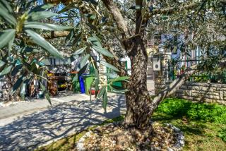 Apartments Jasmine - Biograd na Moru - 1