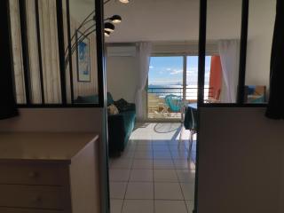Splendide T2 climatisé en front de mer avec box privatif - FR-1-472A-274 - Sète - 3