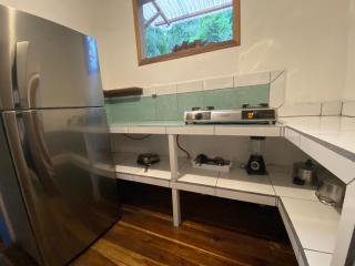 Casa pájaro - Birdwatching house - Cocles - 7