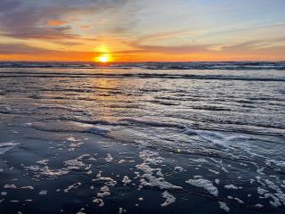 Sip Sea Beach Cottage - Ocean Shores - 8