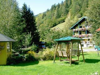 Moosbauerhof - Bad Kleinkirchheim - 8