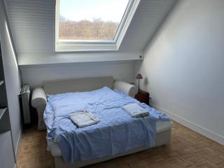 Villa Architecte - La Celle saint cloud - La Celle-Saint-Cloud - 9