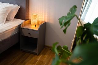 Leola Center Apartment - Viljandi - 4