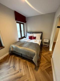 Podgrzewany basen, sauna, nowy Revist Szklarska B7 - Szklarska Poręba - 4