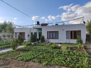 Stanzin Home Stay - Leh - 6