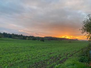 Hotel-Pension- Vesperstube Waldblick - Mainhardt - 6