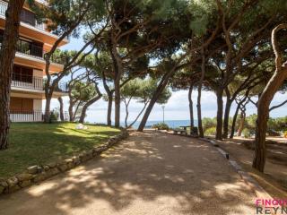 Cavall Bernat - Platja d'Aro - 2