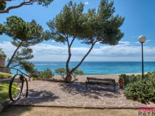 Cavall Bernat - Platja d'Aro - 3