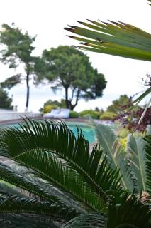 Villa Musa with private pool - Afitos - 4