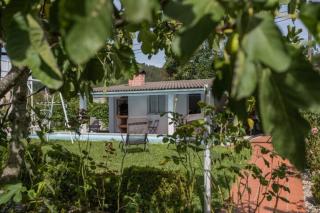 Delfim e Carmo - Entire House com Piscina - São Pedro do Sul - 9