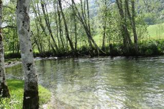Appartement "HERISSON" indépendant à Lélex, Monts Jura - Lélex - 8