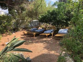 L'UMBRIA - Calvi - 6