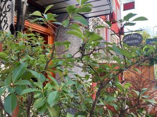 Antique Hostel - Istanbul - 4