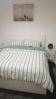 Immaculate 1-Bed Apartment in Hinckley - Hinckley - 7