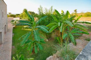 Villa Es Figueral - 1