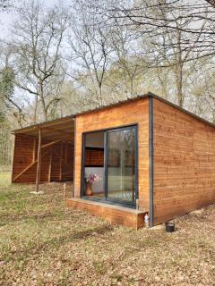 Chambre en foret - 2