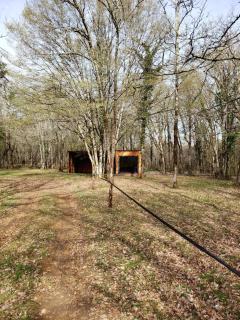 Chambre en foret - 1