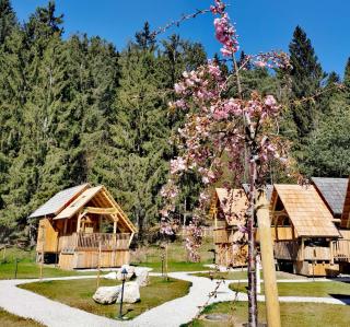 Ribno Luxury Glamping - Bled - 3