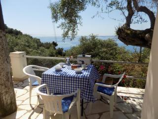 villa elli panoramic view 2 - Ipsos - 1