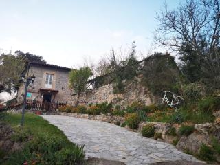 La casina del Cabrajigo - Cangas de Onís - 3