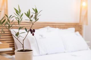 Olivea Premium Holiday Homes - Stavros - 3