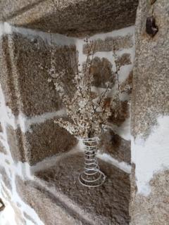 Chambre indépendante - style studio - avec jardin à la campagne - 4