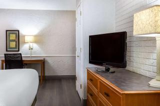 La Quinta Inn Tampa Airport Stadium Westshore - Tampa - 7