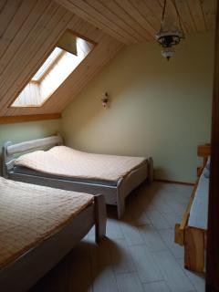 Lesnoj holiday - Vilnius - 4