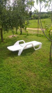 Apartmani Nataša - Vrsar - 4