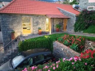 Casa dos Gatos - Calheta - 4