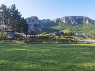 Ramonda Serbica- Authentic Nature Retreat in Sicevo Gorge - 7